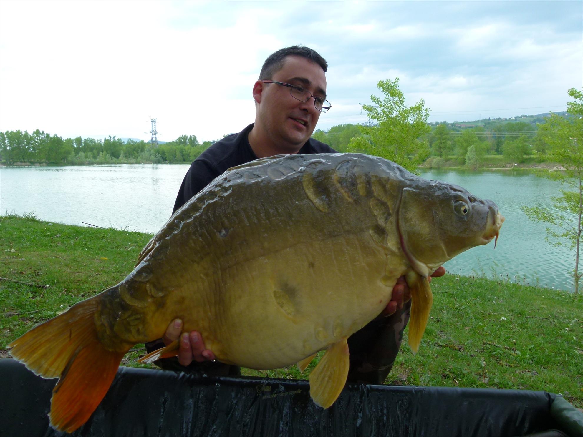 THE BIGS OF 2012 - p1000016.JPG